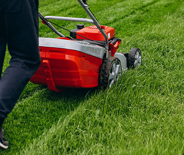 Lawn Cutting