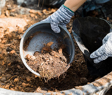 Mulch Installation